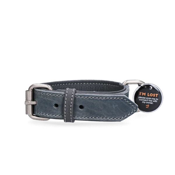 Collier en cuir pour chien avec médaille numérique, 50 cm, gris – Spotted! Pro