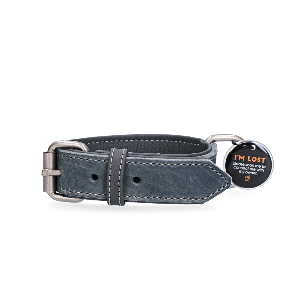Collier en cuir pour chien avec médaille numérique, 50 cm, gris – Spotted! Pro – Image 1