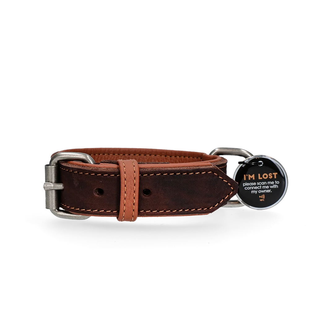 SPOT0030C.png Collier pour chien en cuir avec médaille numérique, 50 cm, marron – Spotted! Pro – Image 1