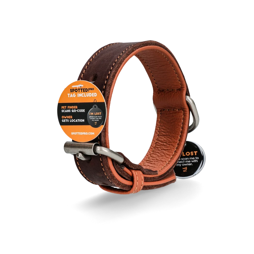Collier pour chien en cuir avec médaille numérique, 50 cm, marron – Spotted! Pro – Image 4