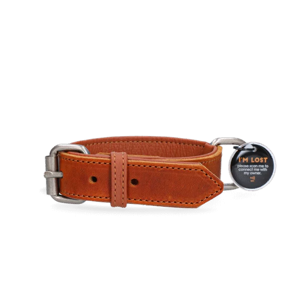 Collier pour chien en cuir avec médaille numérique, 55 cm, cognac – Spotted! Pro