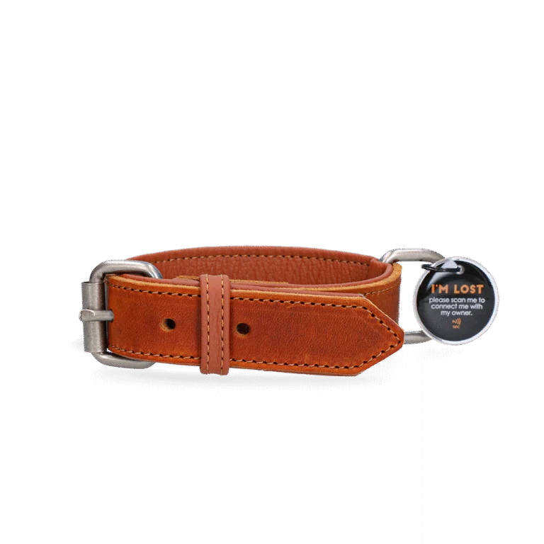 Collier pour chien en cuir avec médaille numérique, 55 cm, cognac – Spotted! Pro