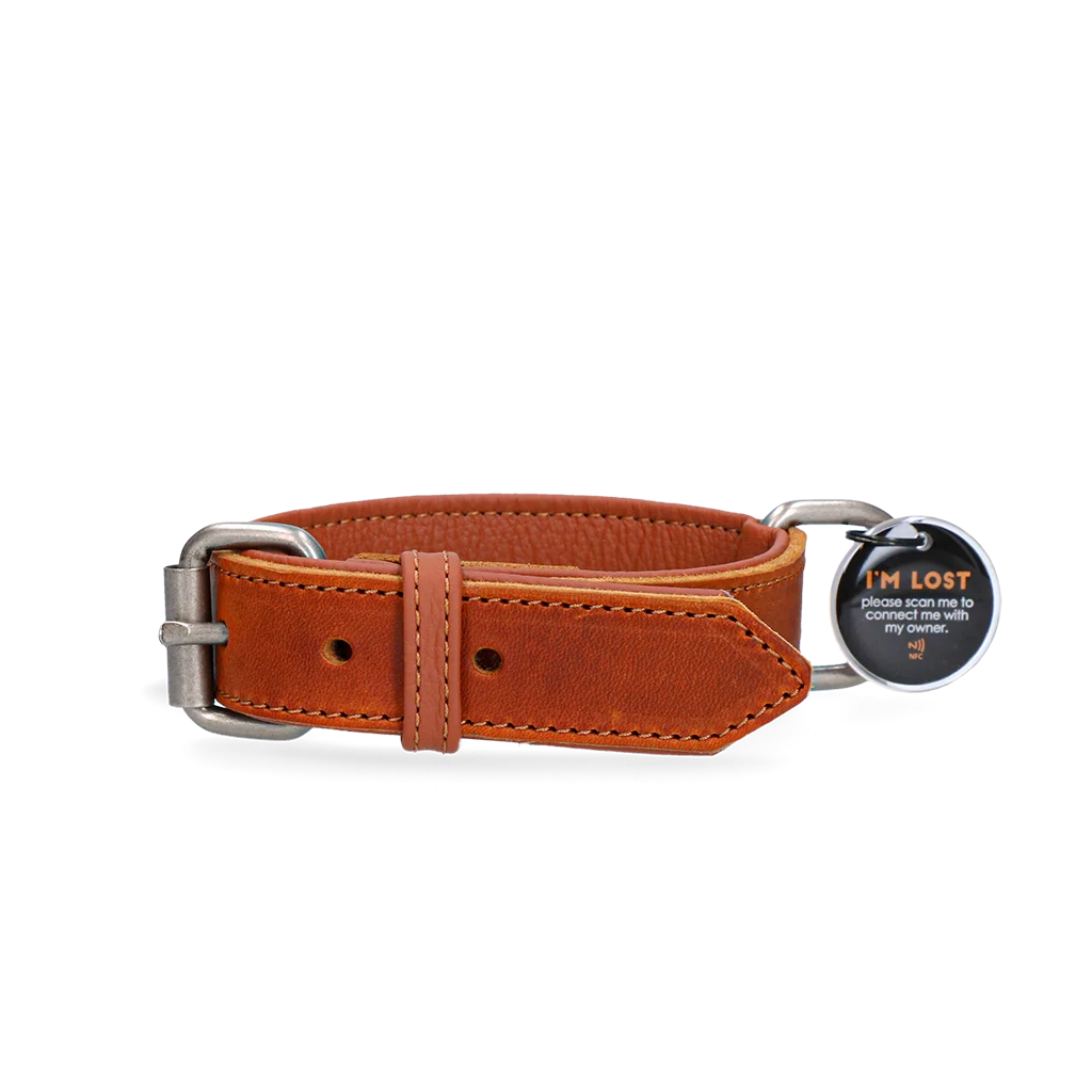 Collier pour chien en cuir avec médaille numérique, 60 cm, cognac – Spotted! Pro – Image 1