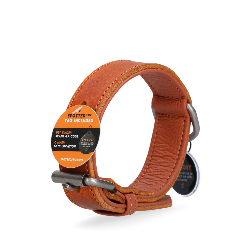 Collier pour chien en cuir avec médaille numérique, 60 cm, cognac – Spotted! Pro – Image 3