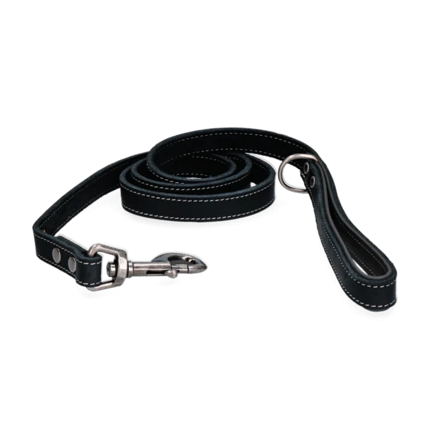 Laisse pour chien en cuir avec poignée, noire, 1,8 cm x 130 cm – Spotted! Pro