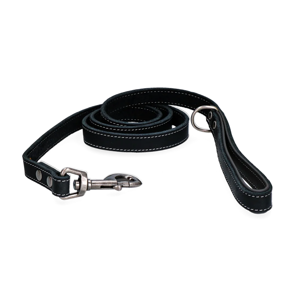 Laisse pour chien en cuir avec poignée, noire, 1,8 cm x 130 cm – Spotted! Pro – Image 1