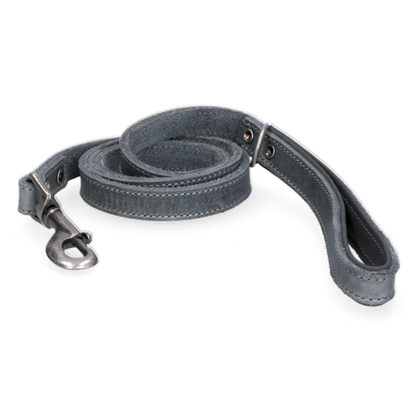 Laisse pour chien en cuir avec poignée doublée, gris, 130 x 1,8 cm – Spotted! Pro