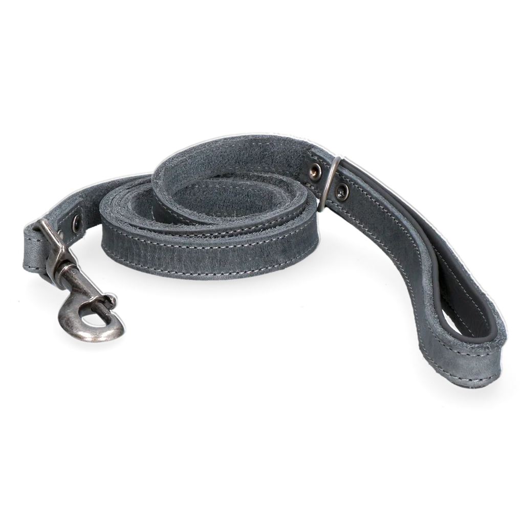 SPOT0040B.png Laisse pour chien en cuir avec poignée doublée, gris, 130 x 1,8 cm – Spotted! Pro – Image 1