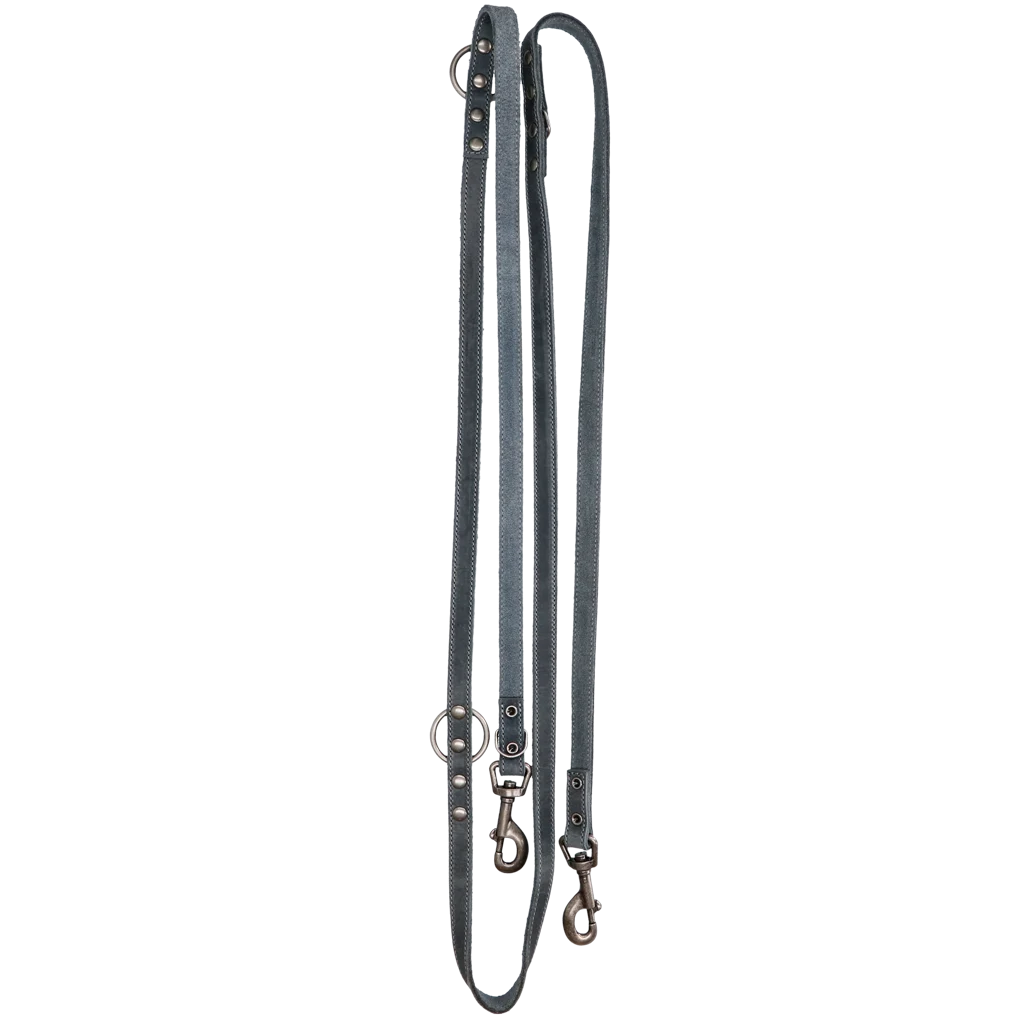 Laisse de dressage en cuir pour chien, grise, 250 cm x 16 mm – Spotted! Pro – Image 1