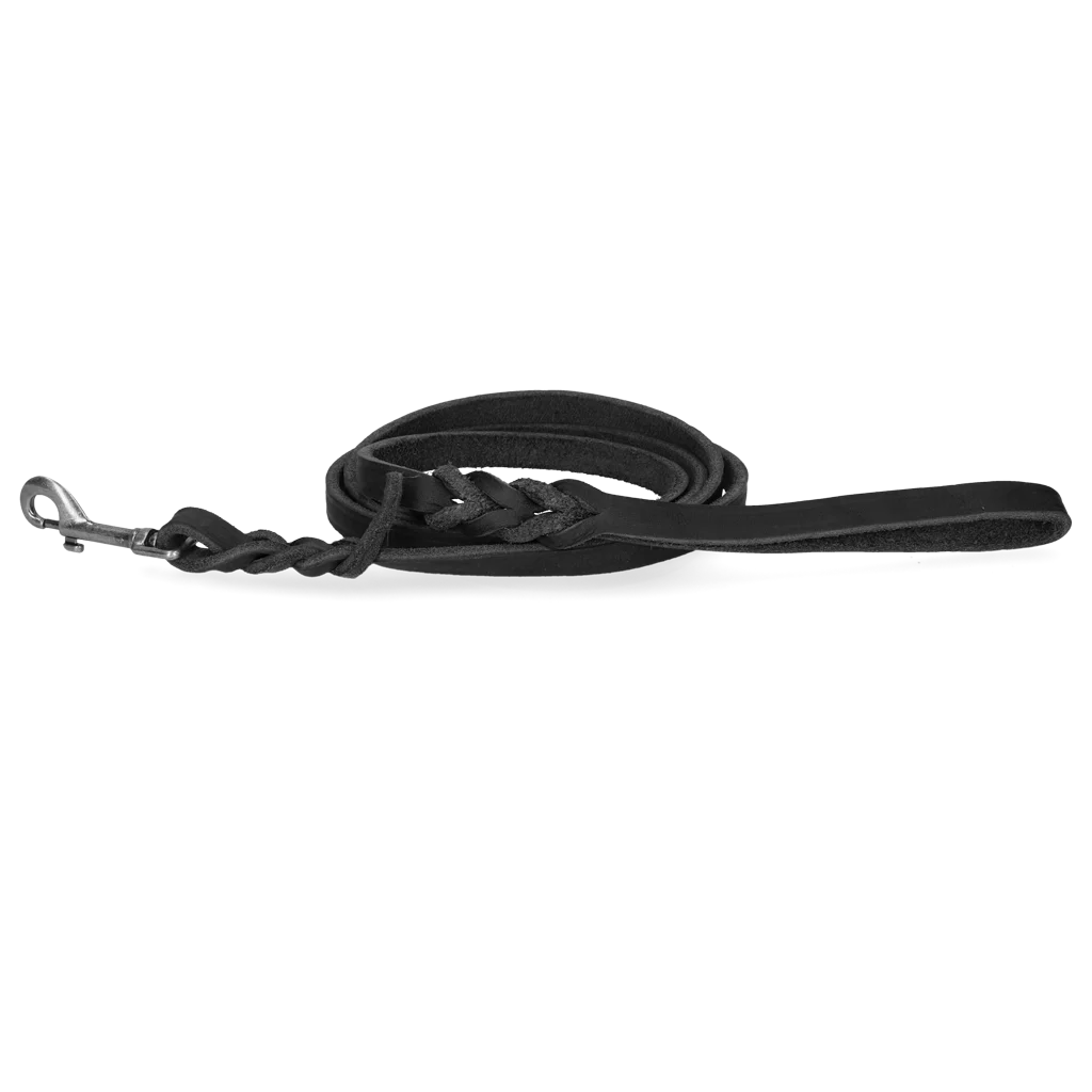 Laisse de présentation en cuir pour chien avec mousqueton, noire, 180 cm x 12 mm – Spotted! Pro – Image 1