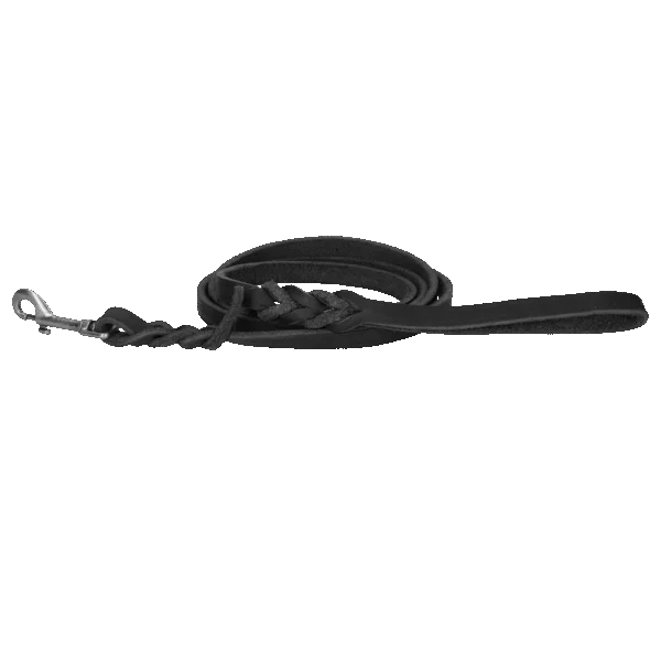Laisse de présentation en cuir pour chien avec mousqueton, noire, 180 cm x 16 mm – Spotted! Pro