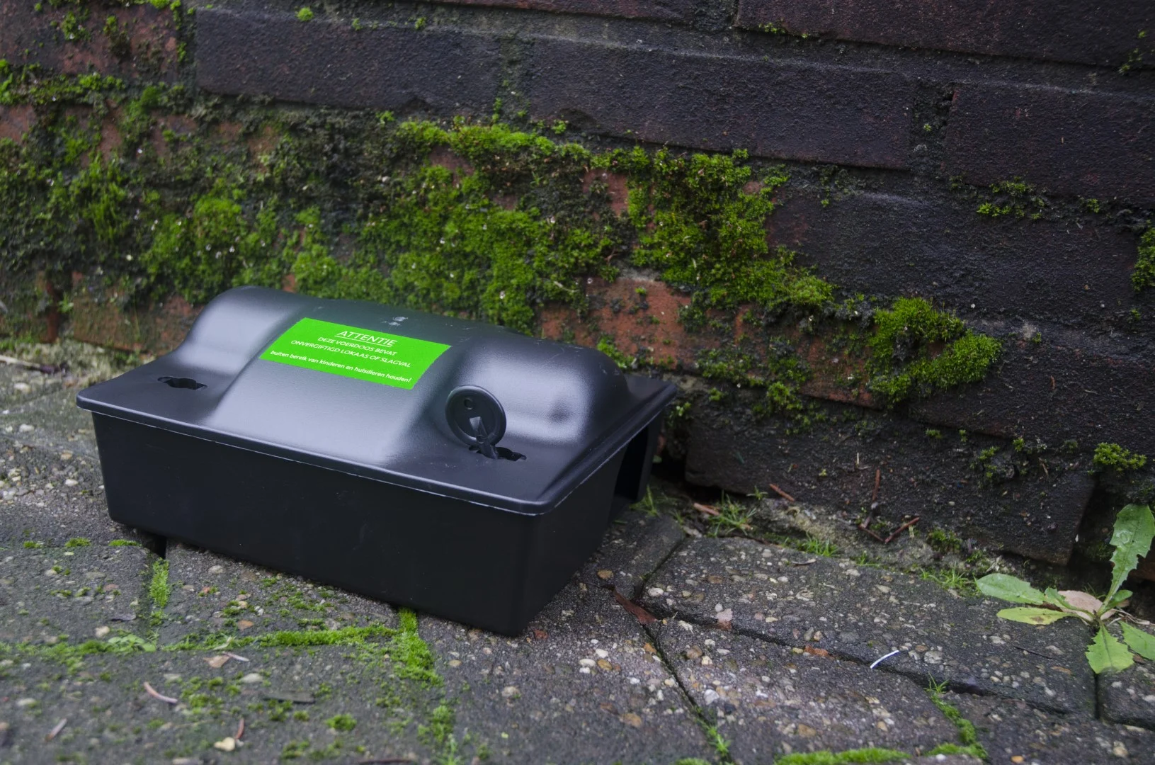 Autocollant d’avertissement pour appât de monitoring ou piège à ressort, 8 x 4 cm, 100 pièces – Hofman Pest Control « Non empoisonné / Piège à ressort » – Image 2