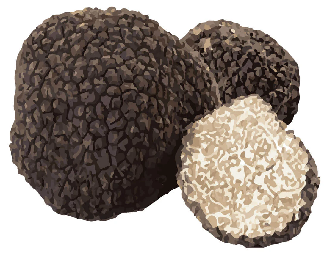 Bâtonnet de fromage pour chien à la truffe noire, taille S – SwissCowers Cheese Bars Truffle S – Image 5