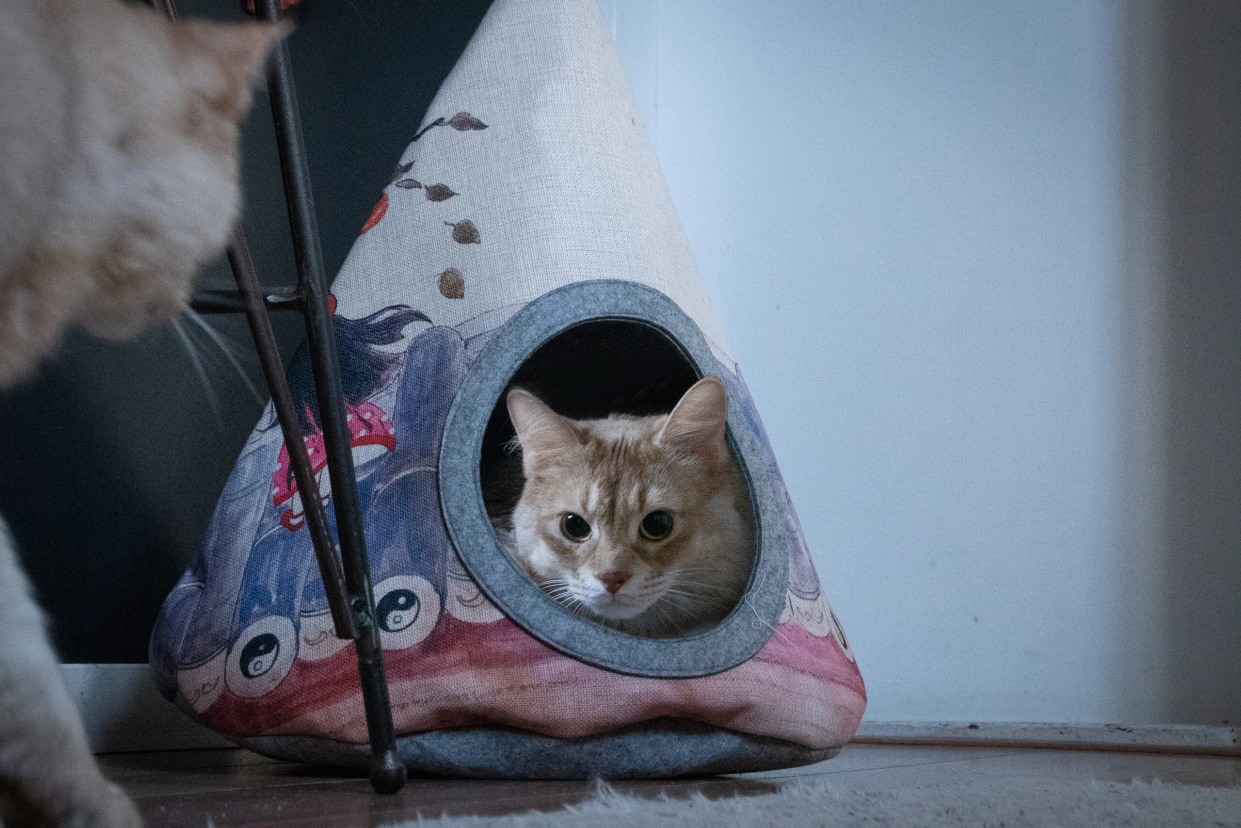 Tipi pour chat avec coussin, 42 x 56 cm – Takara Tipi Yin Yang – Image 2