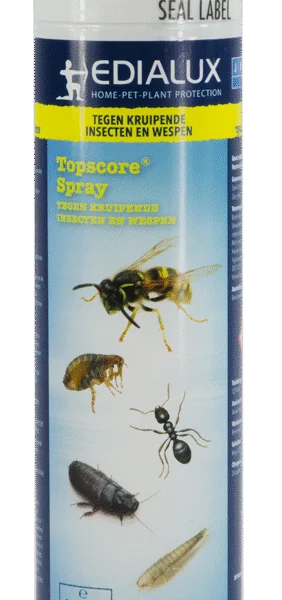 Spray mousse contre les insectes rampants et les guêpes – Edialux Topscore