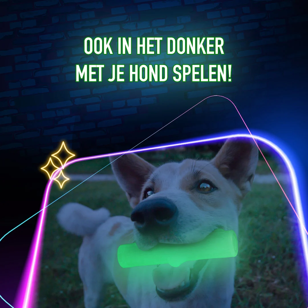 Os à mâcher lumineux pour chien – 2 Glow Treat Bone of it's Own – Image 5