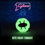 Jouet lumineux pour chien – 2 Glow Bite Right Tonight – Image 3