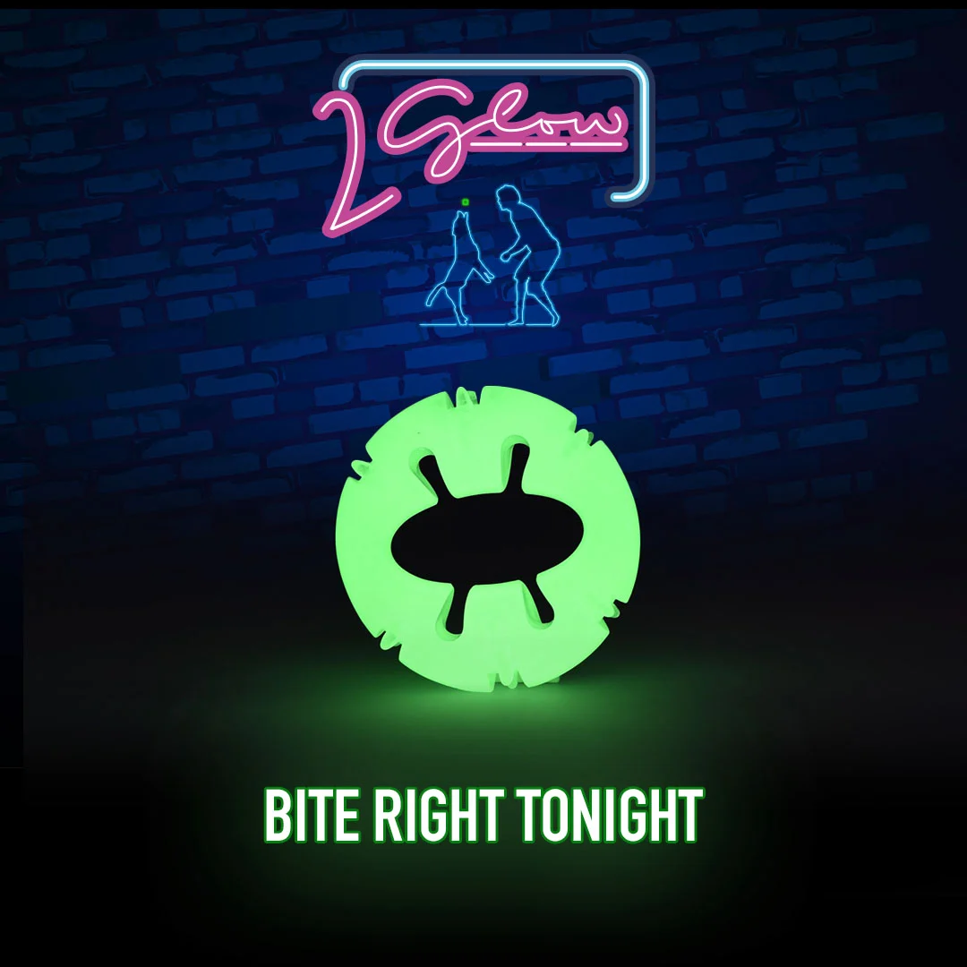 Jouet lumineux pour chien – 2 Glow Bite Right Tonight – Image 3