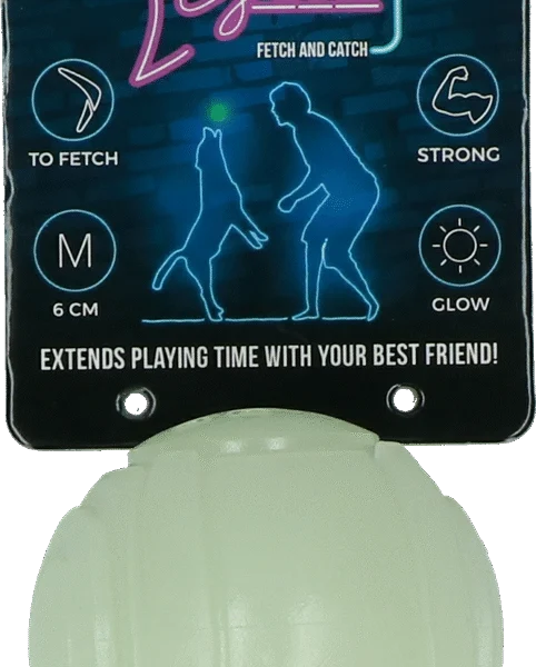 Jouet pour chien lumineux dans le noir – 2 Glow Fetch & Play