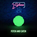 Jouet pour chien lumineux dans le noir – 2 Glow Fetch & Play – Image 2