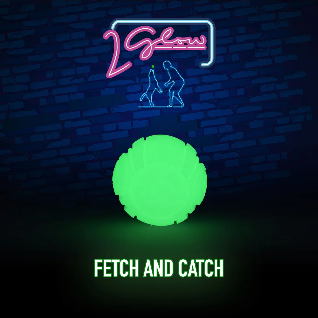 Jouet pour chien lumineux dans le noir – 2 Glow Fetch & Play – Image 2