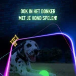 Jouet pour chien lumineux dans le noir – 2 Glow Fetch & Play – Image 4