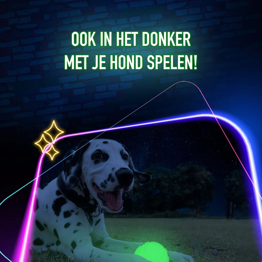 Jouet pour chien lumineux dans le noir – 2 Glow Fetch & Play – Image 4