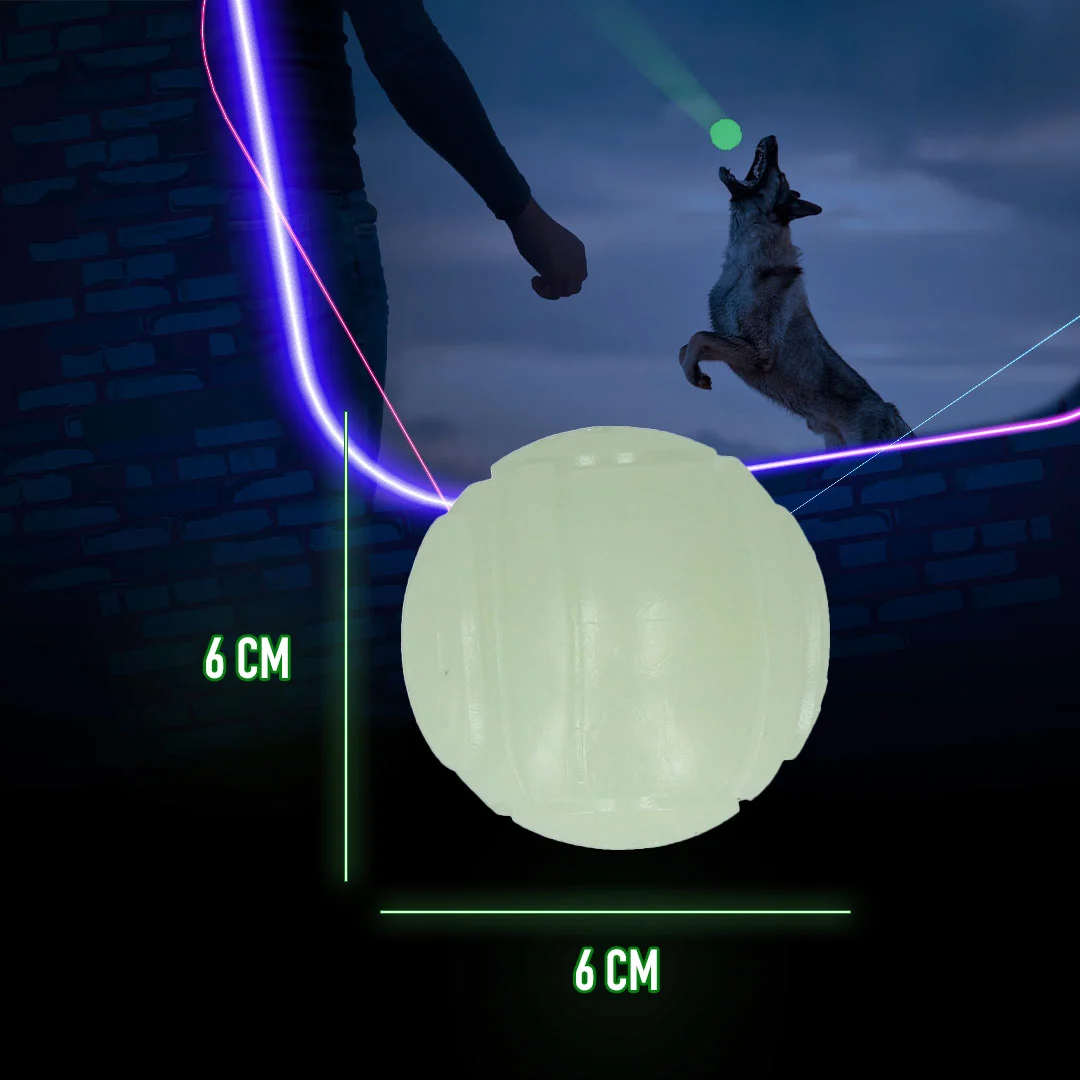 Jouet pour chien lumineux dans le noir – 2 Glow Fetch & Play – Image 6