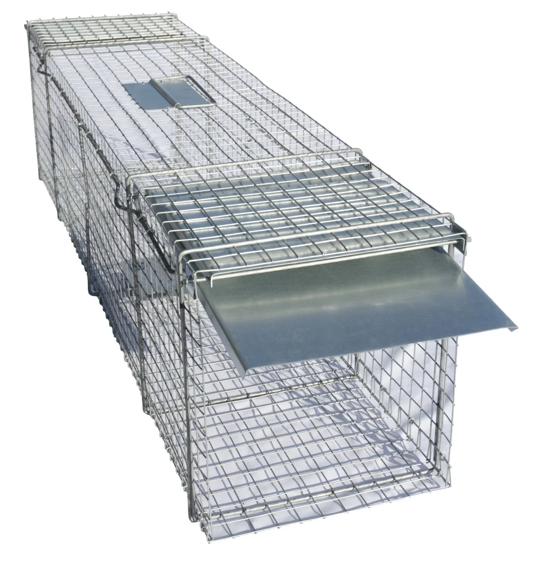 Piège cage en acier galvanisé pour fouines et rats, 102 x 17 x 20 cm – Hofman Pest Control – Image 3