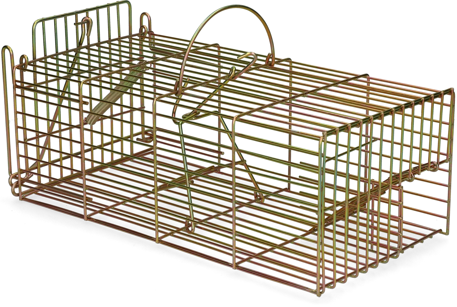 Piège à capture vivante pour rats, 18 x 36 x 12 cm – Hofman Pest Control – Image 2