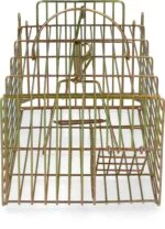 Piège à capture vivante pour rats, 18 x 36 x 12 cm – Hofman Pest Control