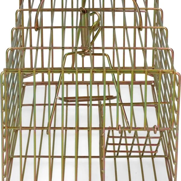 Piège à capture vivante pour rats, 18 x 36 x 12 cm – Hofman Pest Control