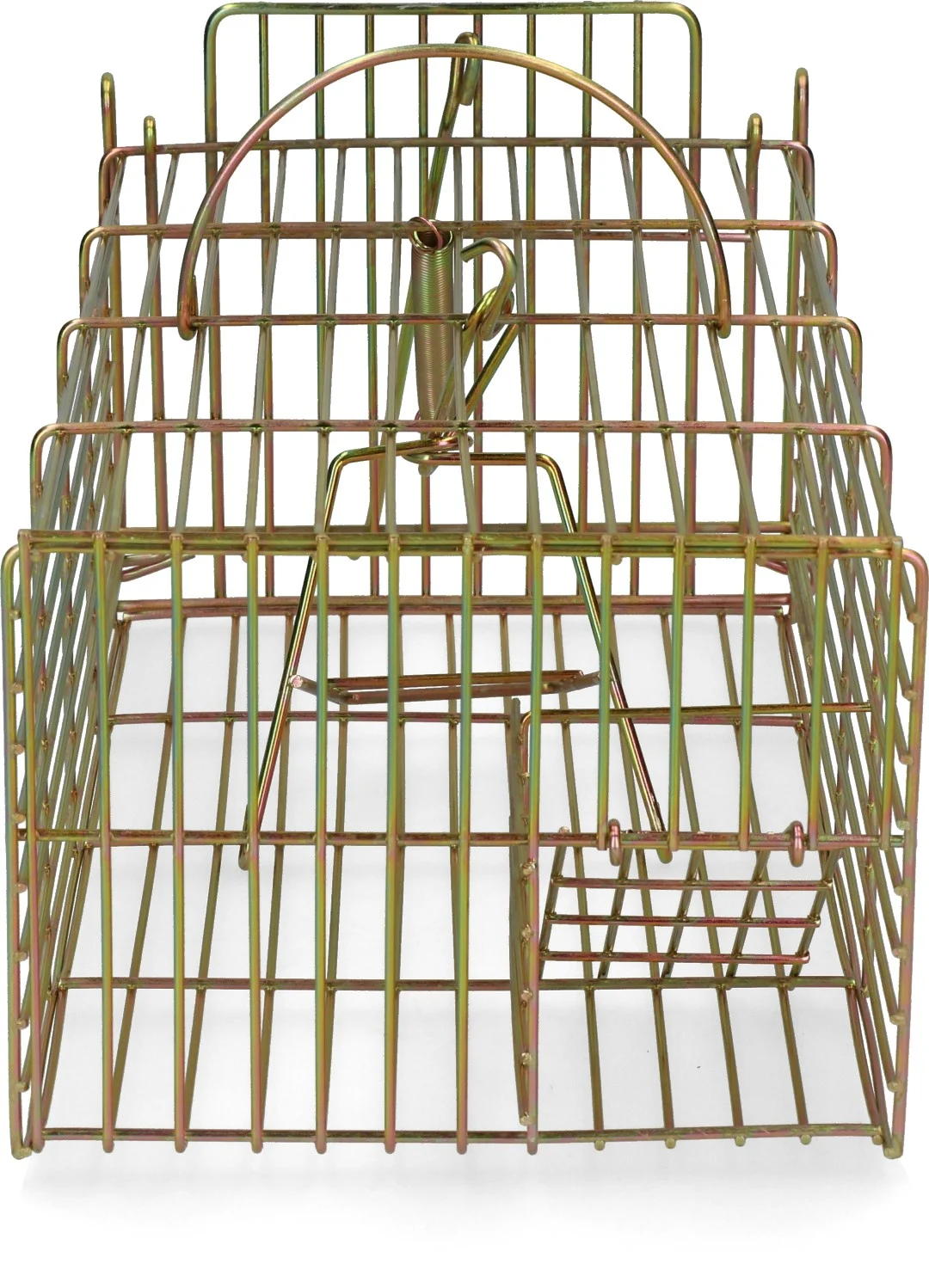 Piège à capture vivante pour rats, 18 x 36 x 12 cm – Hofman Pest Control – Image 1