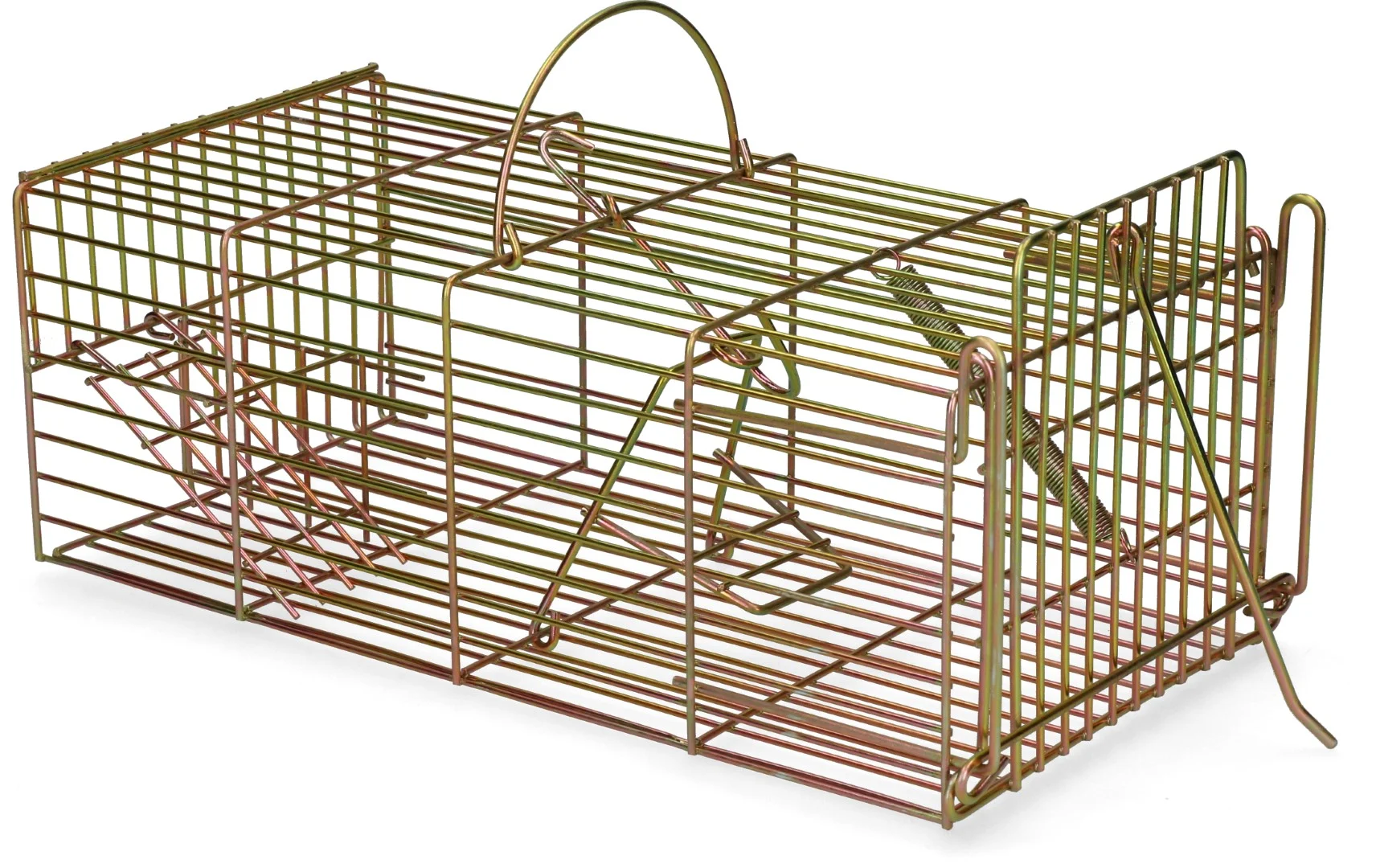 Piège à capture vivante pour rats, 18 x 36 x 12 cm – Hofman Pest Control – Image 3