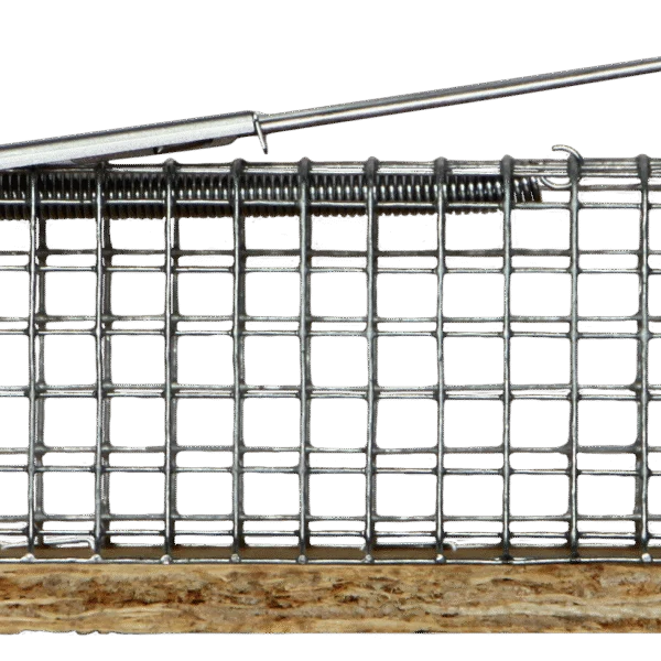 Piège à souris à capture vivante avec fond en bois, 13 x 5 x 5 cm – Hofman Pest Control Dura