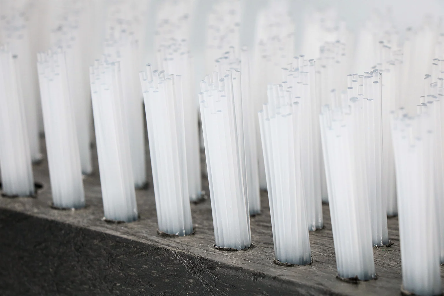 Brosse pour veaux à poils en nylon, blanche, 45 x 15 cm – Image 2