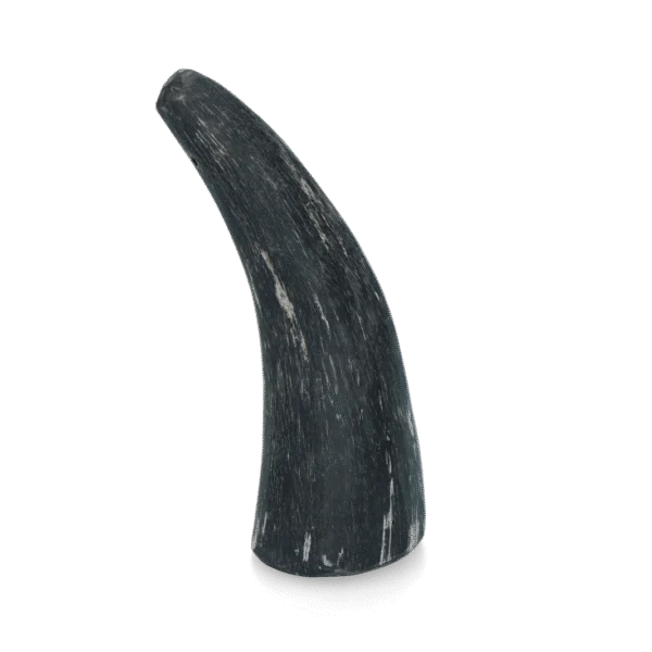 Corne à mâcher en corne de bovin pour chiens de 1 à 4 kg – Viking Horn Whole S