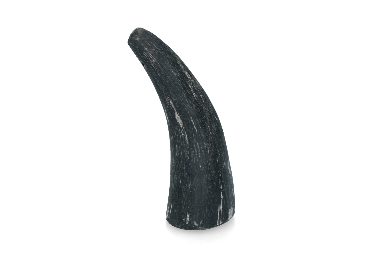 Corne à mâcher en corne de bovin pour chiens de 1 à 4 kg – Viking Horn Whole S – Image 1
