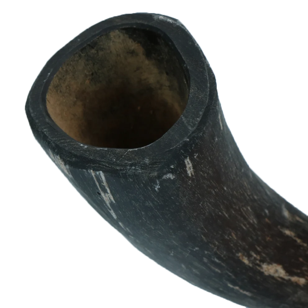 Corne à mâcher en corne de bovin pour chiens de 1 à 4 kg – Viking Horn Whole S – Image 3