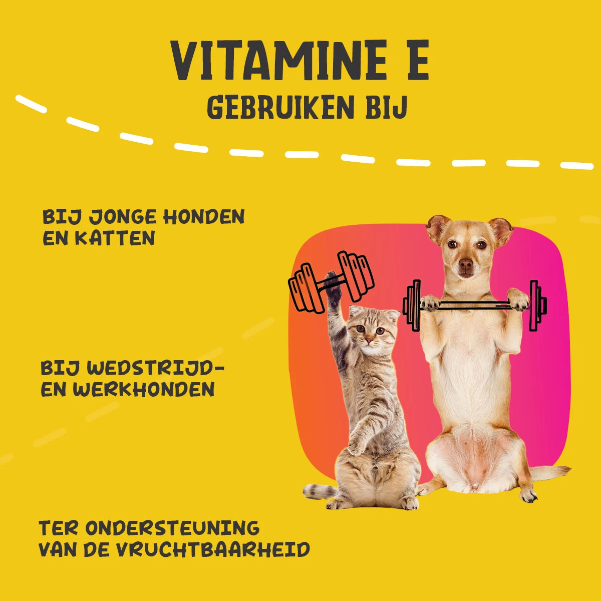 Poudre complémentaire pour chiens et chats avec vitamine E et sélénium, 250 g – Excellent Pets Vitamin E+ – Image 6