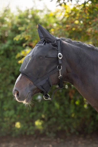 Licol avec masque anti mouches intégré et protection des oreilles Pony – Image 3