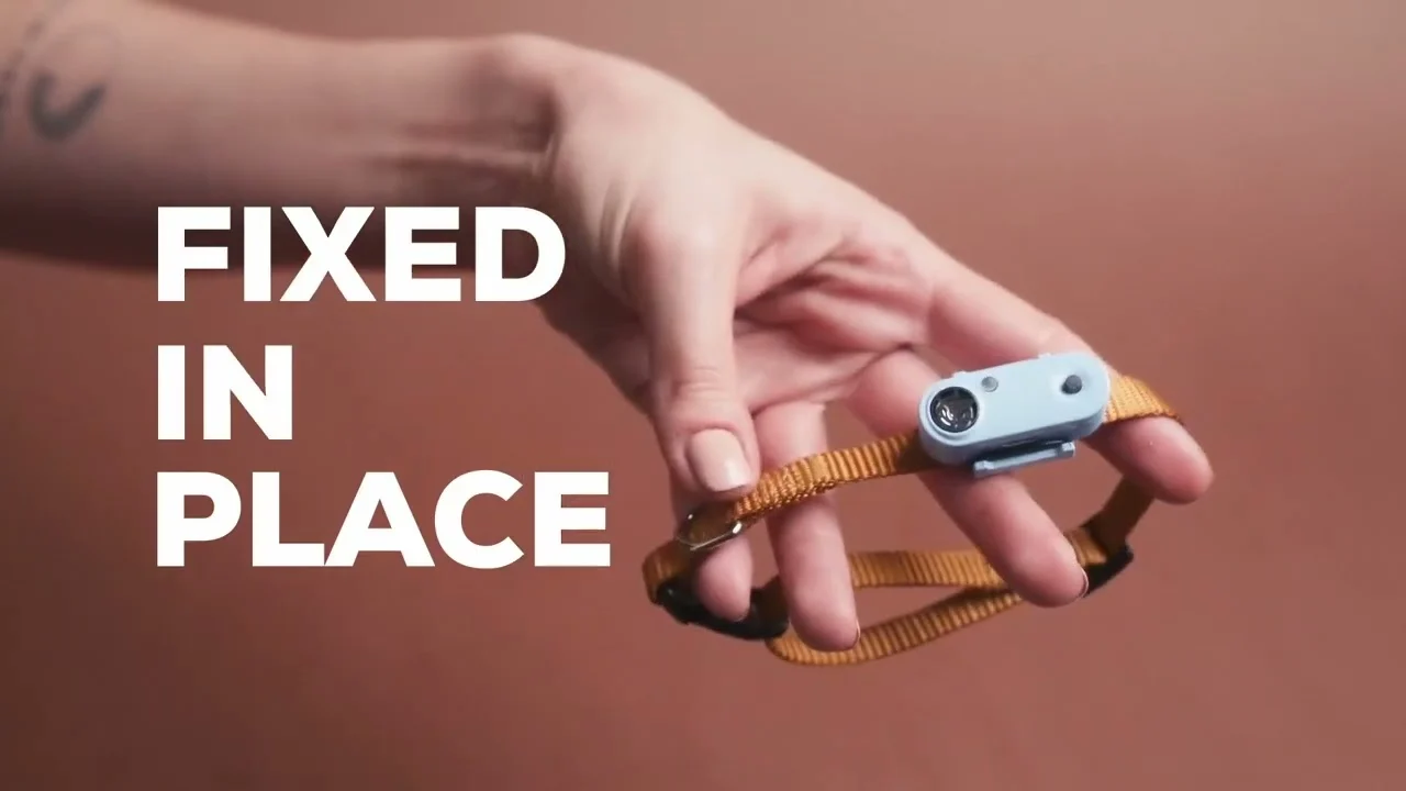 Répulsif à ultrasons contre les tiques et les puces pour chien et chat, beige – Tickless Pet – Image 4