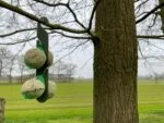 Crochet à suspendre pour boules de graisse pour mésanges, 24,5 cm – Vplast – Image 6