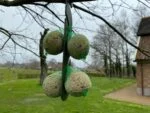 Crochet à suspendre pour boules de graisse pour mésanges, 24,5 cm – Vplast – Image 4