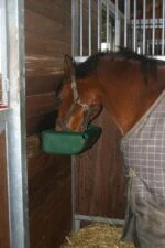 Mangeoire suspendue pour chevaux avec poignée, 11 l, verte – Ok-Plast – Image 2