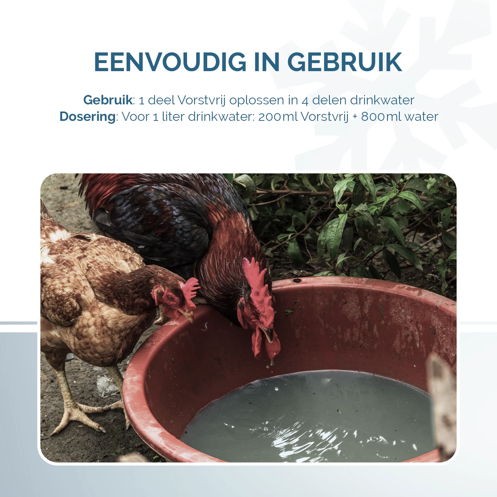 Additif pour l’eau de boisson des poules en période de gel, 1 l – Excellent Vorstvrij – Image 3