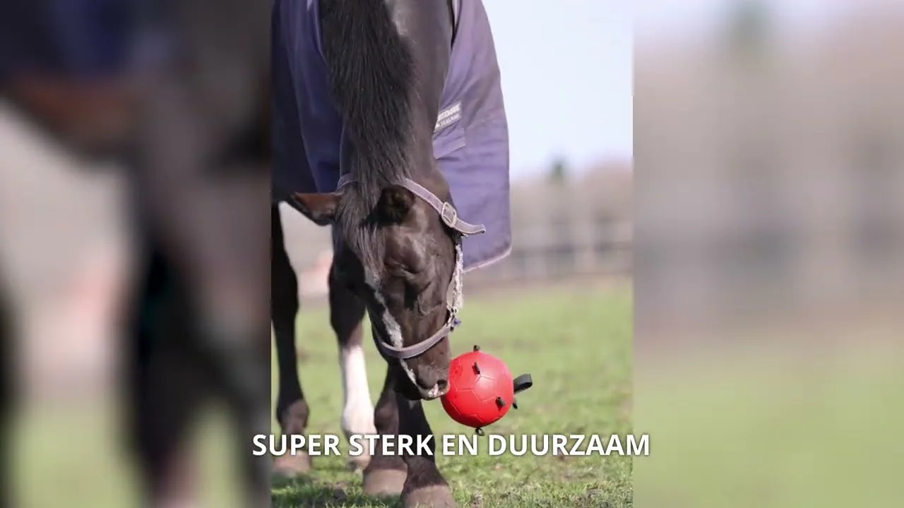 Ballon de jeu pour cheval avec élastiques, 19 cm, vert – Excellent Horse Fun Play Ball – Image 3