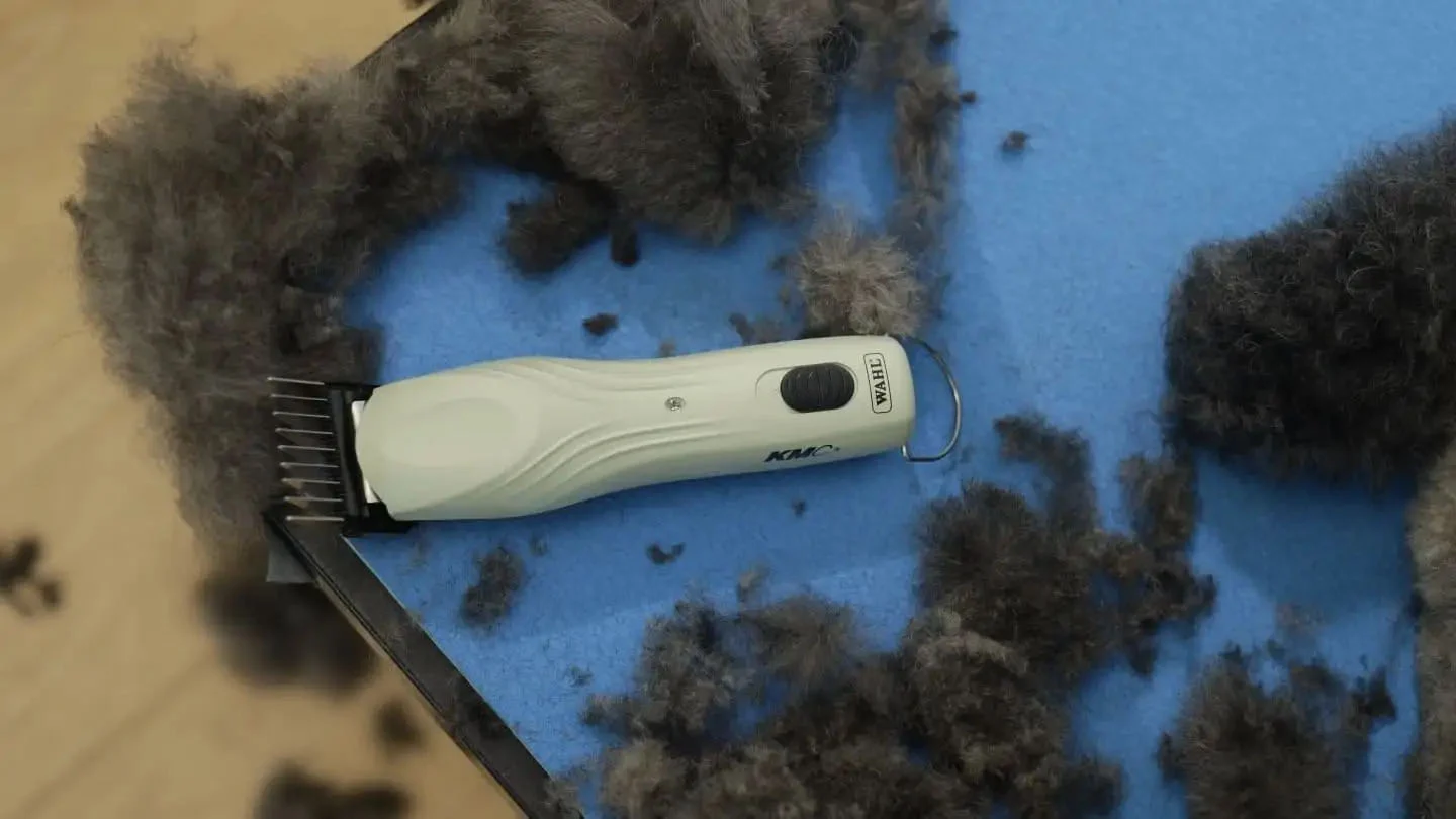 Tondeuse pour chevaux avec fil et batterie, 2 vitesses – Wahl KMC+ – Image 4