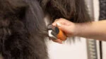 Peigne démêloir pour chien à dents courbes en acier inoxydable – Wahl Dematter – Image 5