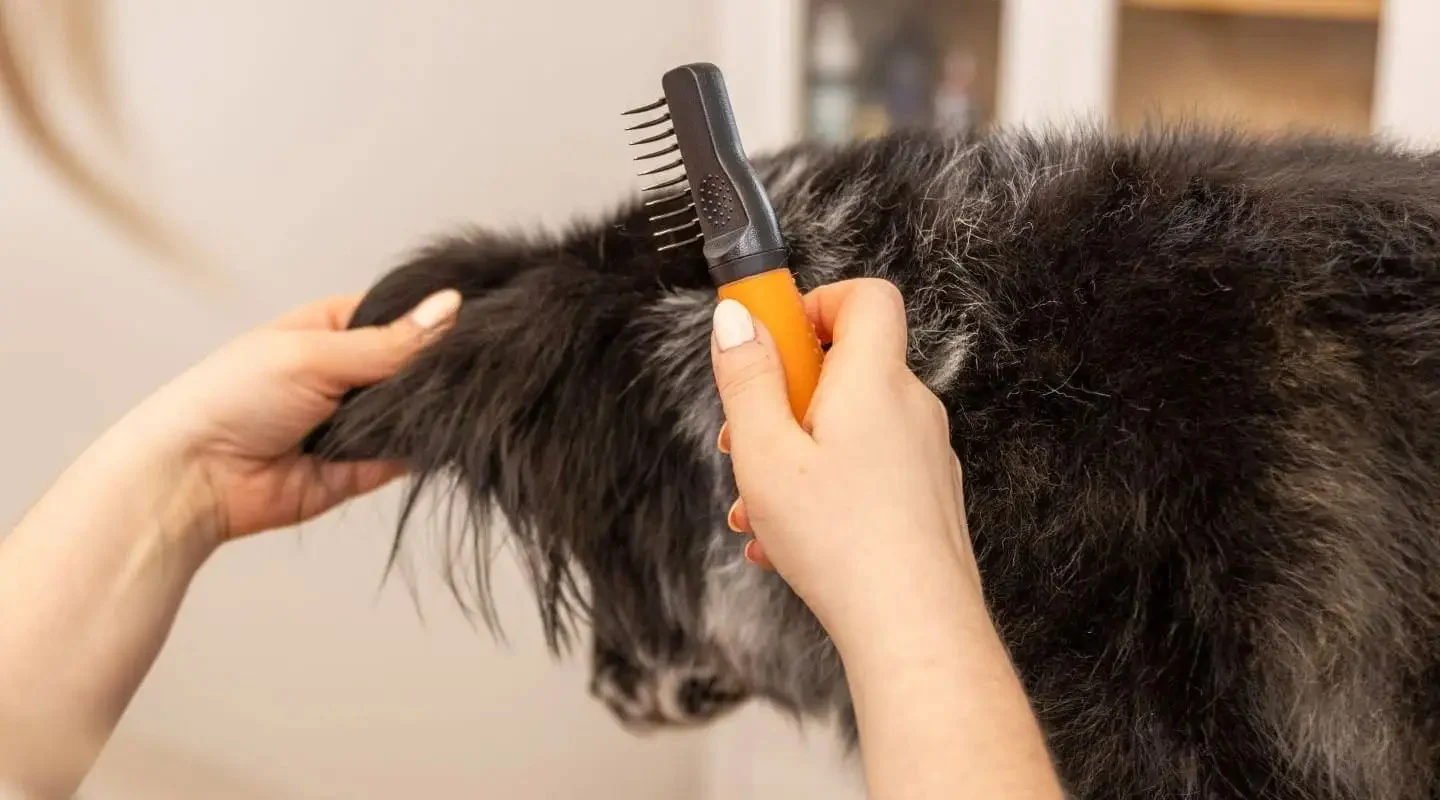 Peigne démêloir pour chien à dents courbes en acier inoxydable – Wahl Dematter – Image 3